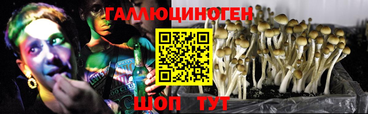 Галлюциногенные грибы прущие грибы Бугульма